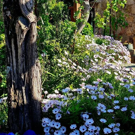 La Bergerie De Pauline - Bord De Mer, Vue Unique Pianottoli-Caldarello (Corsica)