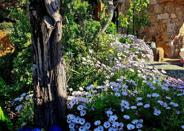 La Bergerie De Pauline - Bord De Mer, Vue Unique Pianottoli-Caldarello (Corsica)